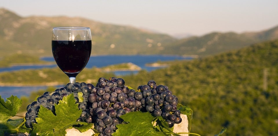 Gastronomia in Croazia Appartamenti Croazia