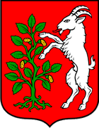 Obrovac - Stemma