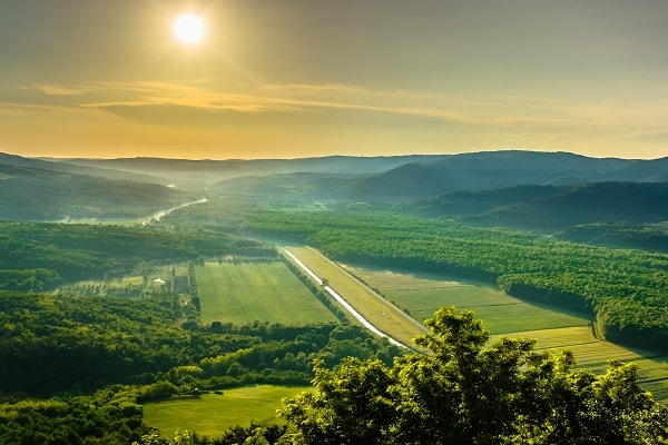 Foresta di Motovun, Croazia