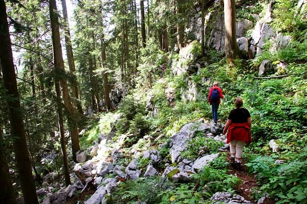 Risnjak Parco Nazionale, Croazia