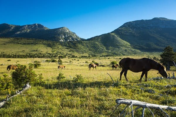Parco Naturale del Velebit, Croazia