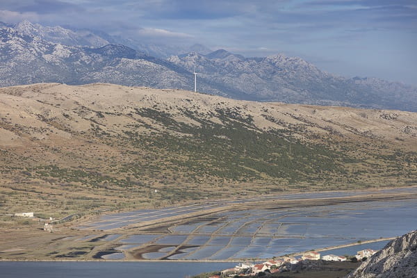 salatura sull'isola di Pag, Croazia