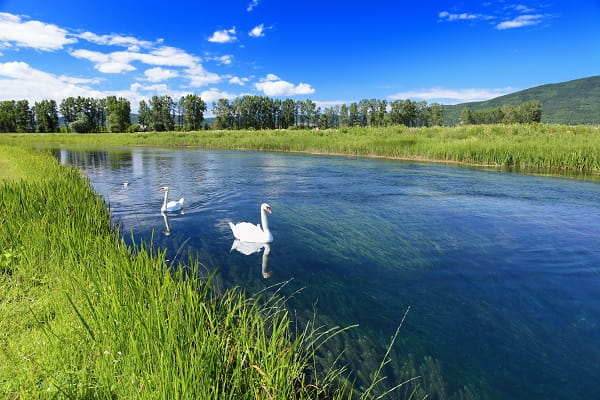 il fiume Gacka, Croazia