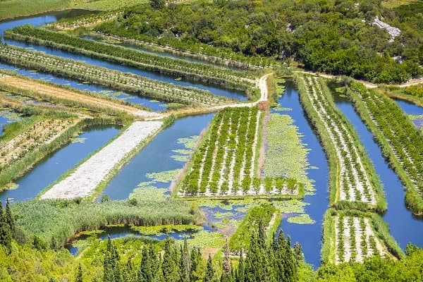 Valle del Neretva, Croazia