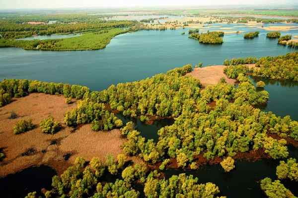 Parco Naturale Kopački rit, Croazia